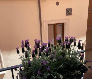 L'Aquila Bed & Breakfast | B & B Piazza Angioina