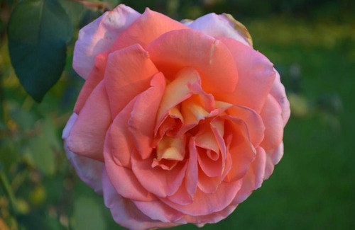 Santarcangelo di Romagna Bed & Breakfast | B&B Tenuta Zavaia