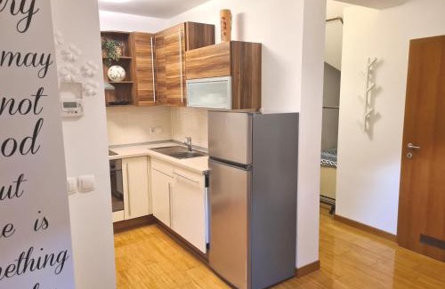 Bohinjska Bistrica Apartment | B8 apartment