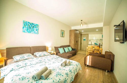 Bakuriani Hotel | BAKURIANI PLAZA A-208