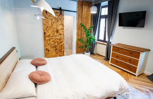 Brasov City Centre House | Barrique Chambers