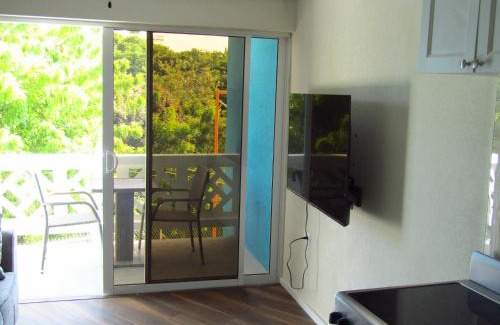 Lazaretto Apartment | BattsRock Beach Condos 204