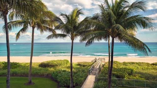 Boca Raton Hotel | Beach Club at The Boca Raton