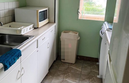 Ocho Rios Condo | Beach Side Condos at Turtle Beach Towers