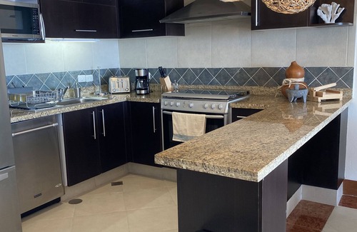 Fluvial Vallarta Condo | Beachfront Condo Grand Venetian