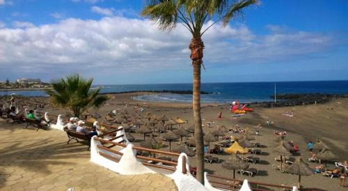 El Madronal Apartment | Beachfront Studio Las Americas