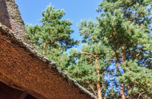 Palanga Villa | Beachfront Villa | Amazing location