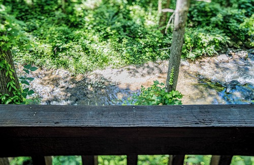 Gatlinburg Cabin | Bearadise: Beautiful Stream-Side Cabin Only Minutes from Gatlinburg Strip