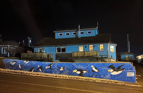 Kodiak Apartment | BEARS, BIRDS, AND WHALES