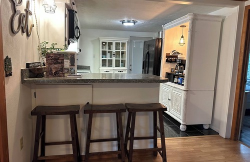 Salt Springs House | Beary Comfortable Cottage in Salt Springs