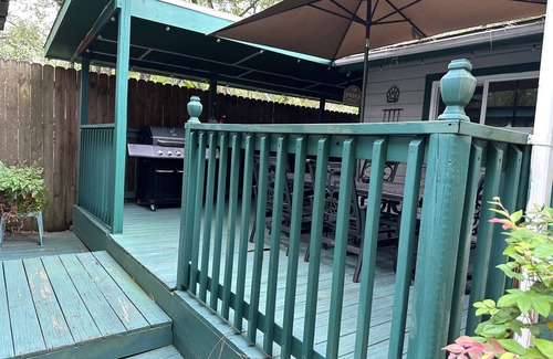 Salt Springs House | Beary Comfortable Cottage in Salt Springs