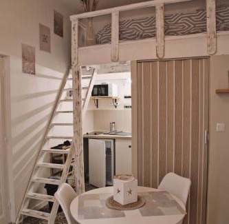 Beaucaire Apartment | Beaucaire cocoon 2/quais/cité médiévale/nature
