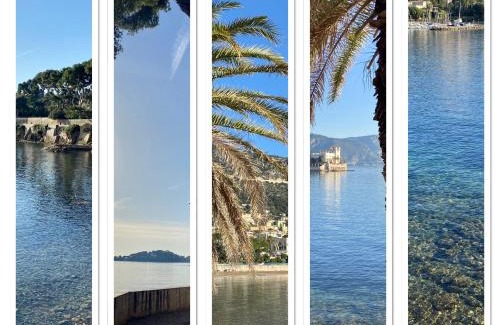 Beaulieu-sur-Mer Apartment | Beaulieutiful City Center apartment