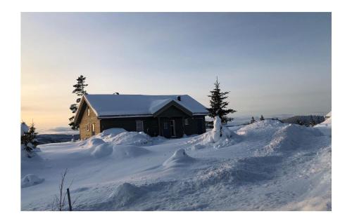 Nord-Aurdal House | Beautiful Home In Aurdal With Kitchen
