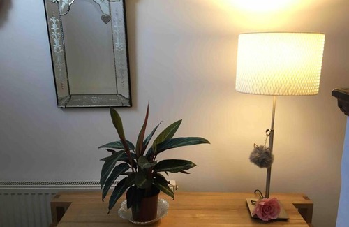 Liverpool Apartment | Beautiful house and garden. 10 mins from city.