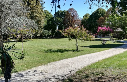 Brujas House | Beautiful house with big flowery park.