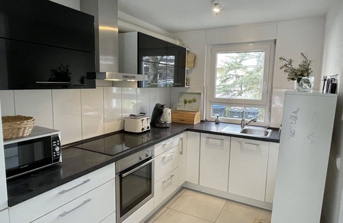 Breisach House | Beautiful villa for 6 guests with WIFI, TV and terrace