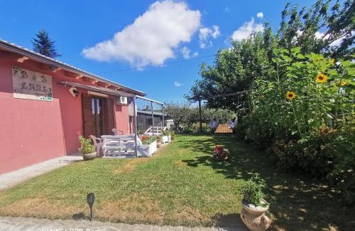 Bagnara Calabra Bed & Breakfast | Bed And Breakfast "ANNA"