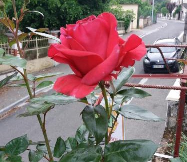 Fumel Apartment | BED AND BREAKFAST LES ROSES MULTICOLORES DU 47