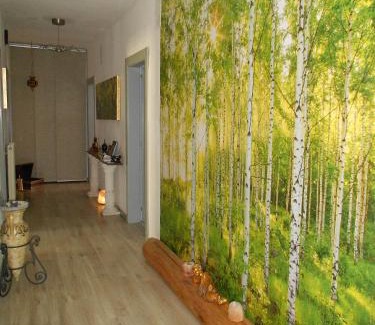 Trento Bed & Breakfast | Bed & Breakfast Al Nettuno