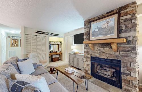 Sugar Mountain Apartment | Bee Branch 13