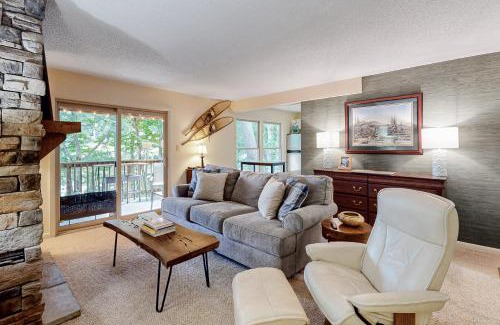 Sugar Mountain Apartment | Bee Branch 13