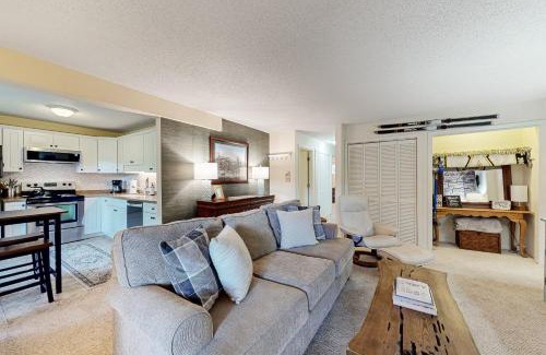 Sugar Mountain Apartment | Bee Branch 13