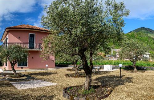 Zafferana Etnea Bed & Breakfast | Bee Happy - Bed and Breakfast