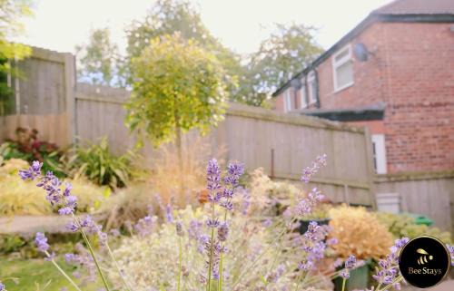 Manchester House | Bee Stays - Caldecott House