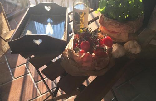 Centola Apartment | Belvedere Experience Apartment