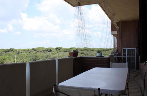 Quartiere XXXV Lido di Castel Fusano Apartment | Belvedere mare e pineta