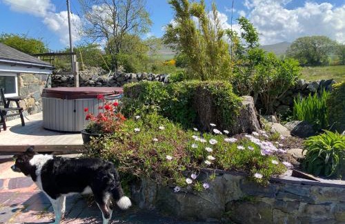 Bangor House | Beudy Bach & Beudy Mawr at Mountainstudios