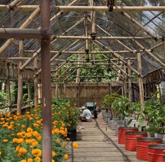 Pengosekan Hotel | Bhuwana Ubud Hotel and Farming