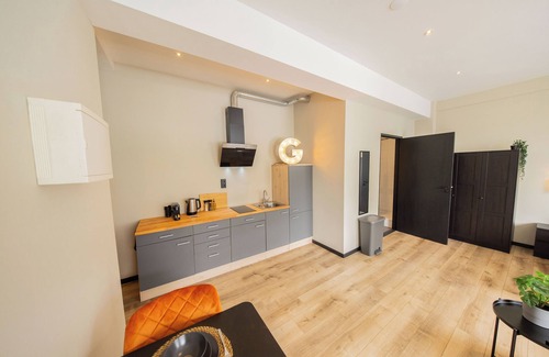 Stadsdriehoek Apartment | Binnenrotte