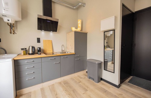 Stadsdriehoek Apartment | Binnenrotte