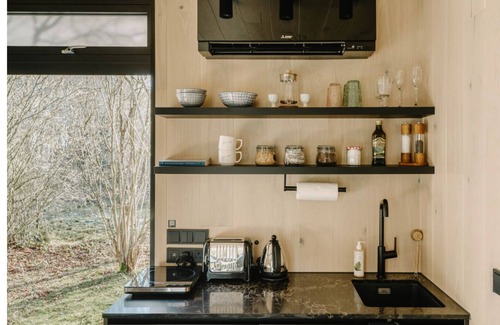 Whitefield House | Birch Mirror House at FarAway Pond