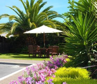 Rotorua Hotel | Birchwood Spa Motel