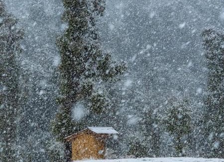 Palampur Other | Birni Camping and Mudhouse