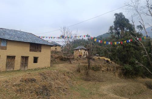 Palampur Other | Birni Camping and Mudhouse