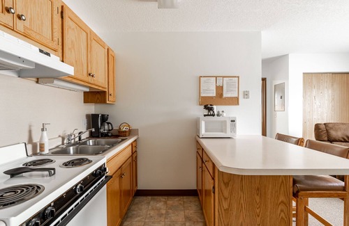 West Yellowstone Apartment | Bison at Buffalo Jump
