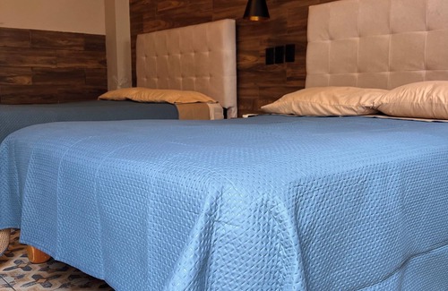 Centro Historico Hotel | BLACK TREE HOTEL BOUTIQUE