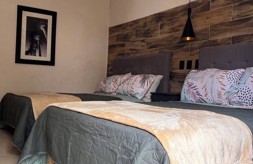 Centro Historico Hotel | BLACK TREE HOTEL BOUTIQUE