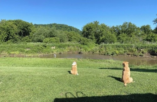 Viroqua RV Rental | Blakley Hobbit Campground-Tent spot #4