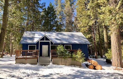 Shaver Lake House | Blue Basecamp - Adventure Starts Here!