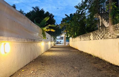 Adyar Hotel | Blue Shell
