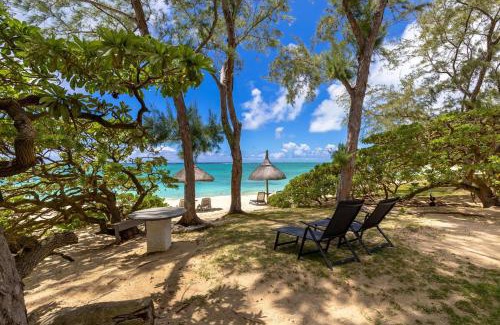 Trou d'Eau Douce Apartment | BlueMoon Studio on the Beach!