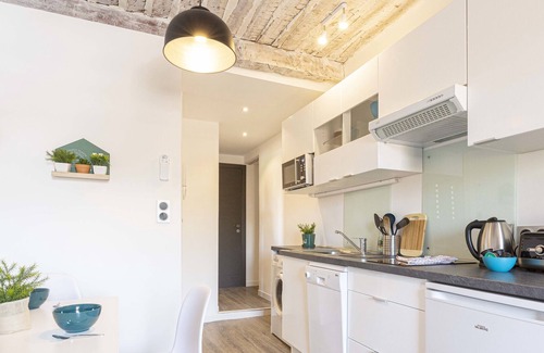 Antibes Old Town Apartment | BNB RENTING Chez Dominique - 1 bedroom Center Antibes Migrainier3D