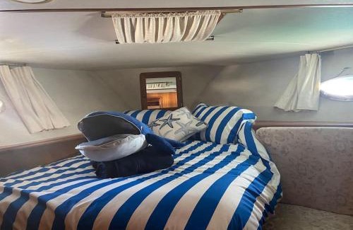 Torquay City Centre Boat Rental | Boat in Torquay marina
