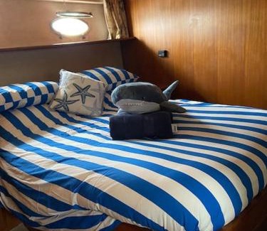 Torquay City Centre Boat Rental | Boat in Torquay marina