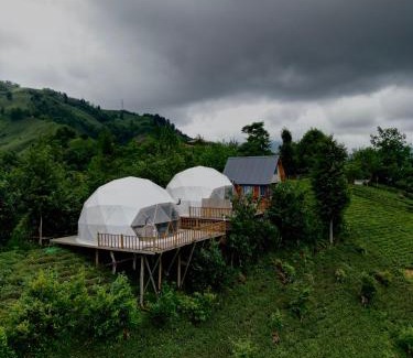 Ayder Hotel | Bogina Dome & Suite - Çamlıhemşin
